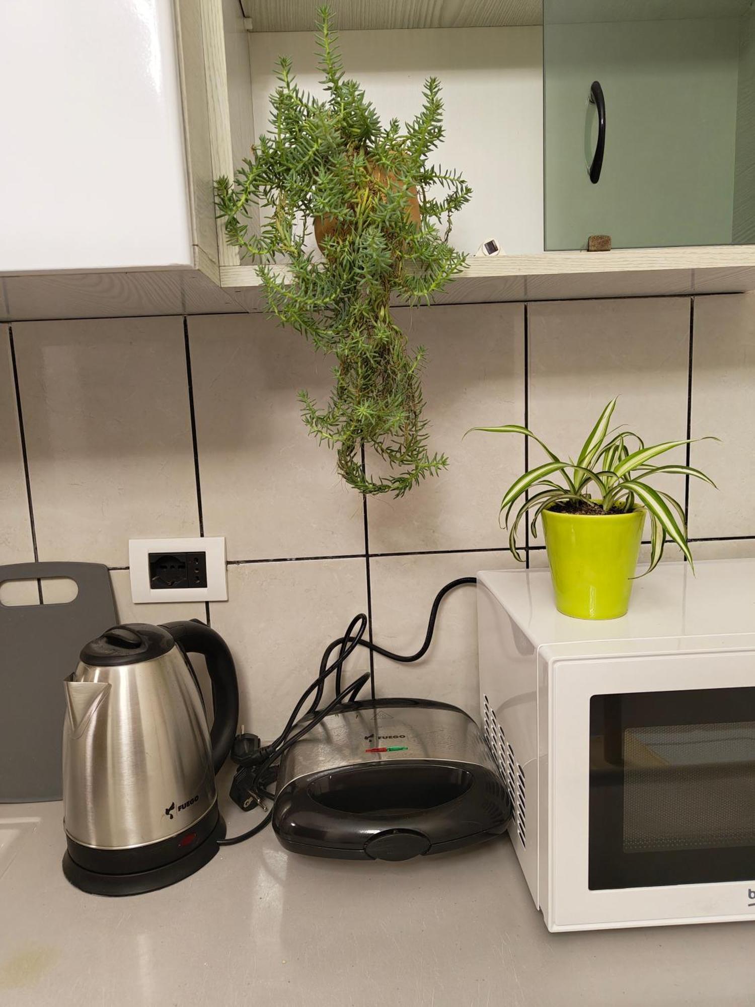 Erli Apartment Shkodër Buitenkant foto
